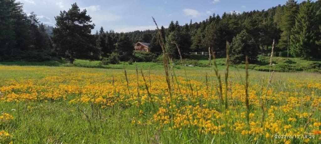 Apt Confortable Au Pied Des Pistes Et De La Foret Bolquere Экстерьер фото